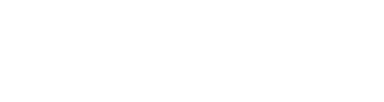 Vitwit-Logo